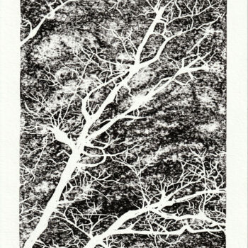 Printmaking titled "Empreinte n°3 - 2/25" by Laurine Firmin, Original Artwork, Linocuts