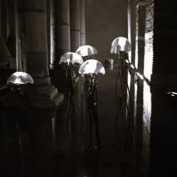 Фотография под названием "Jellyfish in the Ba…" - Lavinia, Подлинное произведение искусства, Цифровая фотография