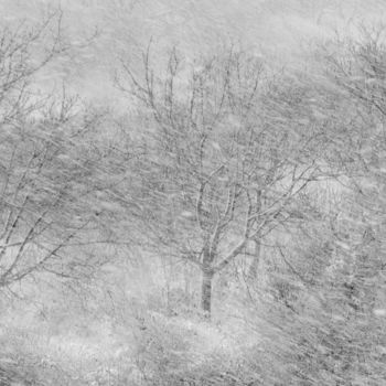 Photography titled "Snowstorm" by Vesna Lazarevic, Original Artwork, Digital Photography