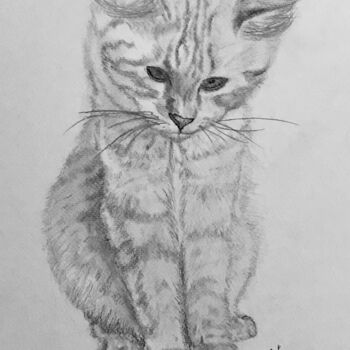 Dessin intitulée "Le chat du voisin" par Oksana Célas, Œuvre d'art originale, Graphite