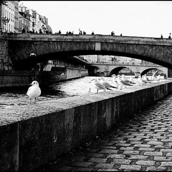 Photography titled "Mouettes sur Seine" by Léa Sg, Original Artwork