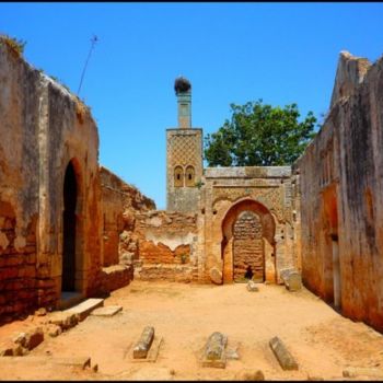 Fotografia intitulada "Rabat - Chellah" por Léa Sg, Obras de arte originais