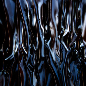 Photographie intitulée "algues-0443-w.jpg" par Robert Lebarbier, Œuvre d'art originale, Photographie numérique