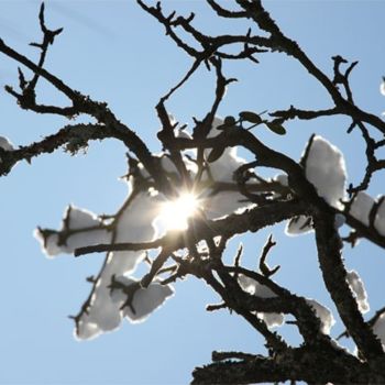Fotografia intitulada "soleil hivernal" por L'Écla, Obras de arte originais