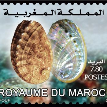 Installation intitulée "Faune Marine Maroca…" par L.Edfouf, Œuvre d'art originale