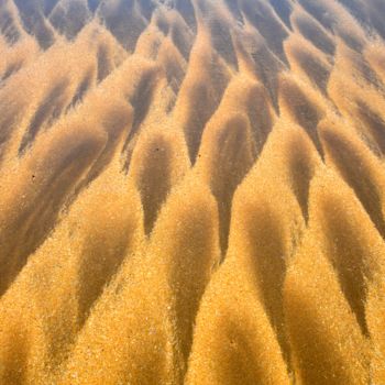 Fotografía titulada "effets de sable" por Maryse Ledoux, Obra de arte original, Fotografía digital