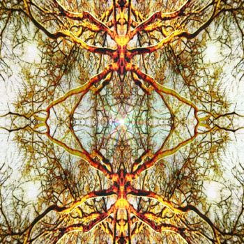 Digitale Kunst getiteld "Tree Temple Mandala…" door Leendert Hendrik, Origineel Kunstwerk, Digitaal Schilderwerk