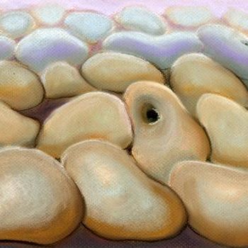 Painting titled "pebbles" by Lelia Sorokina, Original Artwork, Oil