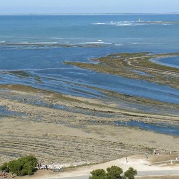 Photography titled "Marée basse" by Dominique Lemetayer, Original Artwork