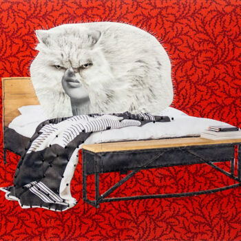 Collages titulada "Catton. Series "Sti…" por Lena Ash, Obra de arte original, Collages Montado en Cartulina