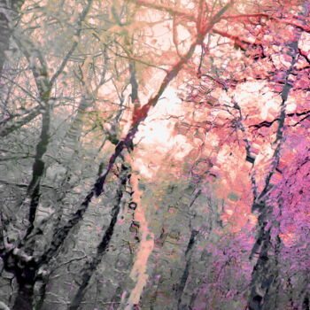 Photography titled "Winter Forest" by Lena Ru, Original Artwork, Non Manipulated Photography