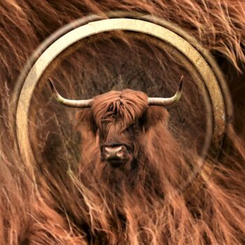 Цифровое искусство под названием "Scottish highlander" - Leo Ster, Подлинное произведение искусства, Не манипулируемая фотог…