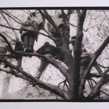 Fotografía titulada "The Tree - Platinum…" por Leonard Radu Chioveanu, Obra de arte original, Fotografía analógica Montado e…