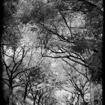 Fotografie getiteld "Allee im Friedhof" door Leopold Brix, Origineel Kunstwerk, Digitale fotografie