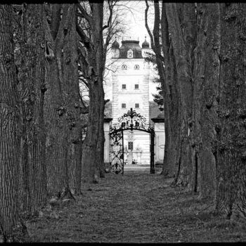 Photographie intitulée "Der Schlosspark" par Leopold Brix, Œuvre d'art originale, Photographie numérique