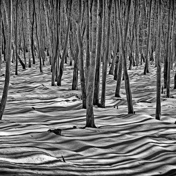 Fotografía titulada "Der Winterwald" por Leopold Brix, Obra de arte original, Fotografía digital
