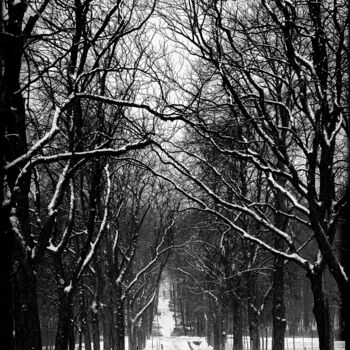 Photographie intitulée "Allee im Winter" par Leopold Brix, Œuvre d'art originale, Photographie numérique