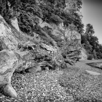 Fotografía titulada "Treibholz" por Leopold Brix, Obra de arte original, Fotografía digital