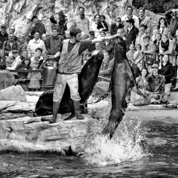 Fotografia zatytułowany „Die Fütterung” autorstwa Leopold Brix, Oryginalna praca, Fotografia cyfrowa