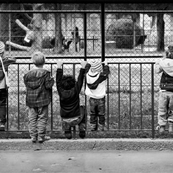 Fotografia zatytułowany „Im Zoo” autorstwa Leopold Brix, Oryginalna praca, Fotografia cyfrowa