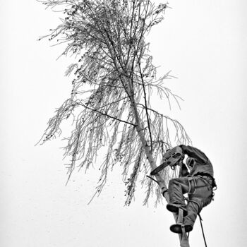 Photographie intitulée "Der Baumschnitt" par Leopold Brix, Œuvre d'art originale, Photographie numérique