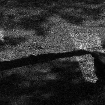 Photography titled "shadow light paris…" by Leonard Rachita Photographie, Original Artwork