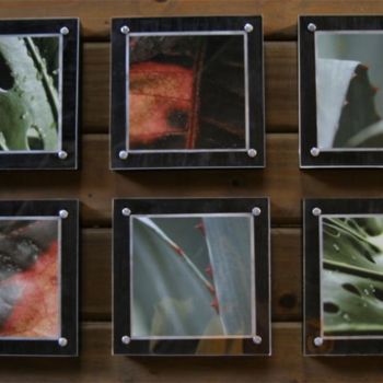 Collages titulada "fragmentos de plant…" por Leo Tezcucano, Obra de arte original