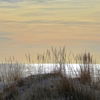 Fotografie getiteld "Reeds in Sand" door Leo Tujak, Origineel Kunstwerk, Digitale fotografie