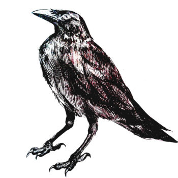 Zeichnungen mit dem Titel "le-corbeau.jpg" von Alicexo, Original-Kunstwerk, Graphit