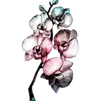 Drawing titled "orchidee.jpg" by Alicexo, Original Artwork, Graphite