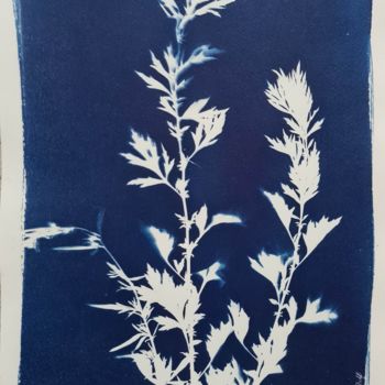 Estampas & grabados titulada "Empreintes végétale…" por Delphine Debricon (Les Bleus de Delf), Obra de arte original, Monoti…