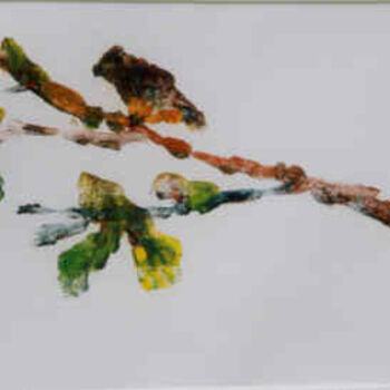 Impressões e gravuras intitulada "Bird Branch Ghost" por Lesley Braren, Obras de arte originais, Monotipo