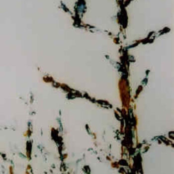 Impressões e gravuras intitulada "Dead Tree Sitter" por Lesley Braren, Obras de arte originais, Monotipo