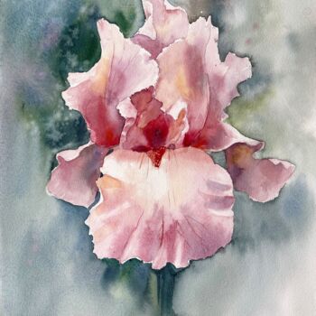 Pintura intitulada "Pink Iris" por Lida Khomyakova (Artelida), Obras de arte originais, Aquarela