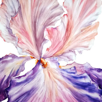 Painting titled "Iris flower" by Lidia Nureeva, Original Artwork, Watercolor
