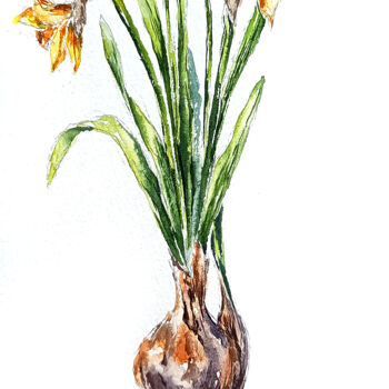 Peinture intitulée "Narcissus botanical…" par Lidia Nureeva, Œuvre d'art originale, Aquarelle
