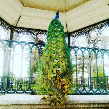 Φωτογραφία με τίτλο "peacock" από Liliana Capitão, Αυθεντικά έργα τέχνης