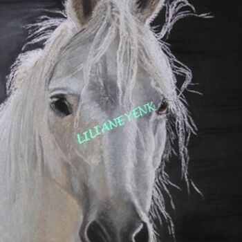Painting titled "Cheval blanc" by Liliane Yenk, Original Artwork, Pastel