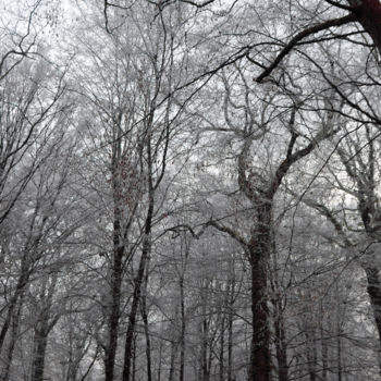 Fotografia intitolato "Il était une forêt" da Lilipassion, Opera d'arte originale