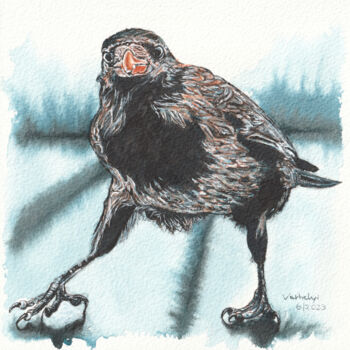 Drawing titled "Rabenvogel 15 Krähe" by Lilla Varhelyi, Original Artwork, Ink