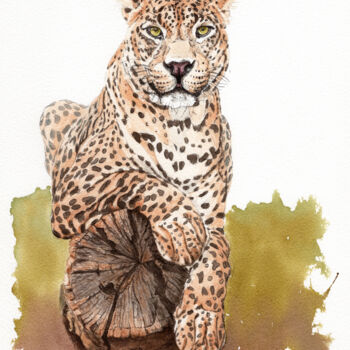 Disegno intitolato "Leopard auf Holzsta…" da Lilla Varhelyi, Opera d'arte originale, Inchiostro