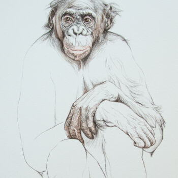 Tekening getiteld "Bonobo" door Lilla Varhelyi, Origineel Kunstwerk, Inkt