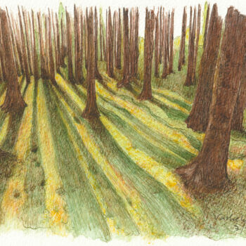 Zeichnungen mit dem Titel "Baumstudie #25 Scha…" von Lilla Varhelyi, Original-Kunstwerk, Tinte