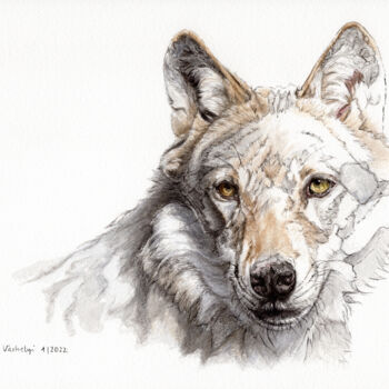 Zeichnungen mit dem Titel "Wolf 2" von Lilla Varhelyi, Original-Kunstwerk, Tinte
