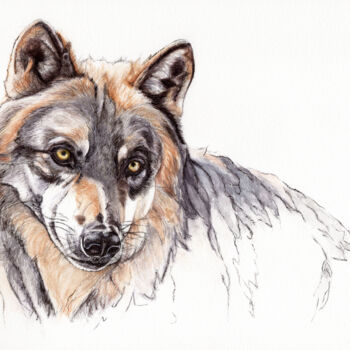 Dessin intitulée "Wolf 4" par Lilla Varhelyi, Œuvre d'art originale, Encre