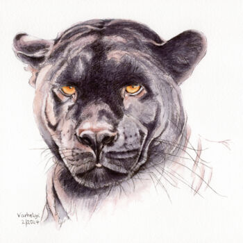 Zeichnungen mit dem Titel "Portrait Panther" von Lilla Varhelyi, Original-Kunstwerk, Tinte