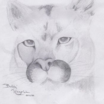 Drawing titled "Cougar" by Bobbi Wilson, Original Artwork