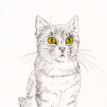 Dessin intitulée "C'est quoi chat?" par Lilou, Œuvre d'art originale, Autre