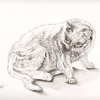 Dessin intitulée "Le chat suspicieux" par Lilou, Œuvre d'art originale, Autre