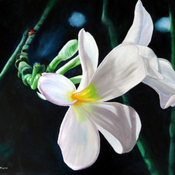 Painting titled "Frangipani" by Lily Van Bienen, Original Artwork, Oil